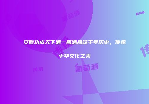 安徽功成天下酒一瓶酒品味千年历史，传承中华文化之美