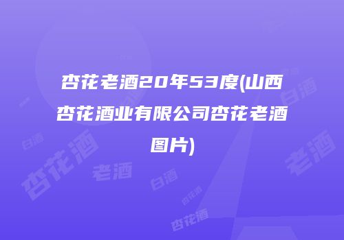 杏花老酒20年53度(山西杏花酒业有限公司杏花老酒图片)