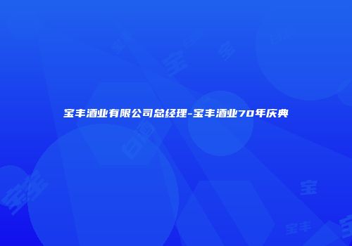 宝丰酒业有限公司总经理-宝丰酒业70年庆典