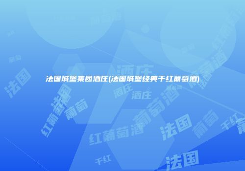 法国城堡集团酒庄(法国城堡经典干红葡萄酒)