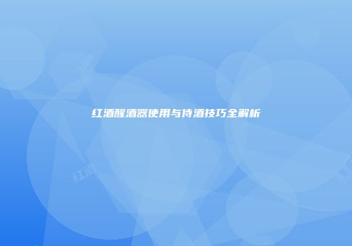 红酒醒酒器使用与侍酒技巧全解析
