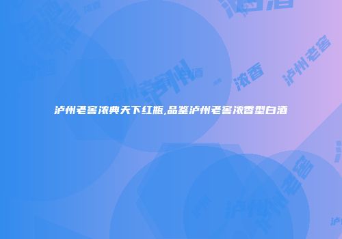 泸州老窖浓典天下红瓶,品鉴泸州老窖浓香型白酒