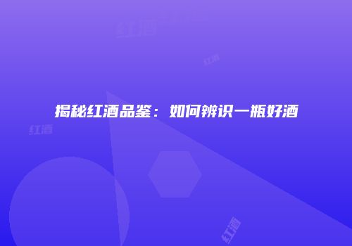 揭秘红酒品鉴：如何辨识一瓶好酒