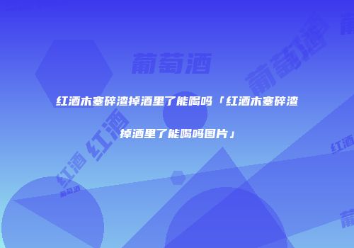 红酒木塞碎渣掉酒里了能喝吗「红酒木塞碎渣掉酒里了能喝吗图片」