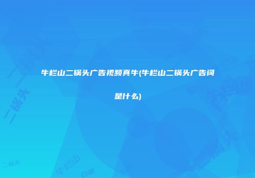 牛栏山二锅头广告视频真牛(牛栏山二锅头广告词是什么)