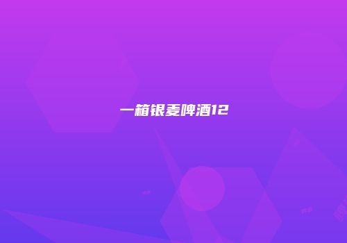 一箱银麦啤酒12