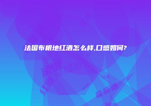 法国布根地红酒怎么样,口感如何?