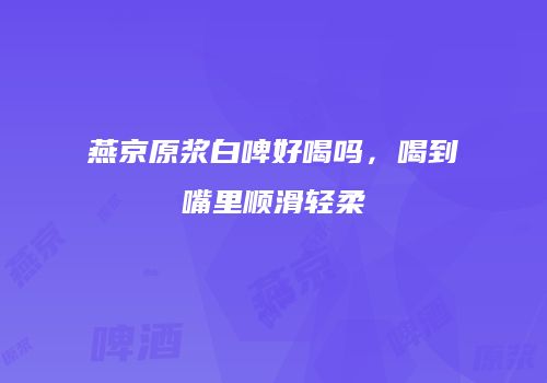燕京原浆白啤好喝吗，喝到嘴里顺滑轻柔