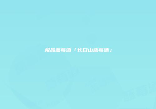 极品蓝莓酒「长白山蓝莓酒」