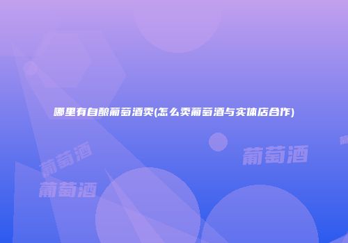 哪里有自酿葡萄酒卖(怎么卖葡萄酒与实体店合作)