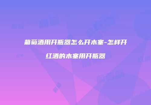 葡萄酒用开瓶器怎么开木塞-怎样开红酒的木塞用开瓶器