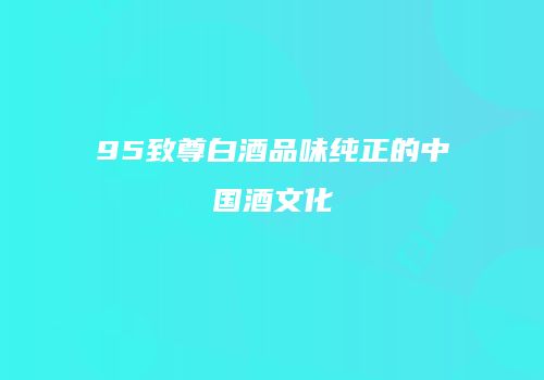 95致尊白酒品味纯正的中国酒文化