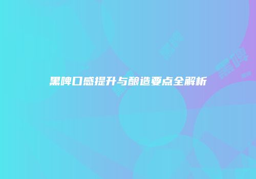 黑啤口感提升与酿造要点全解析