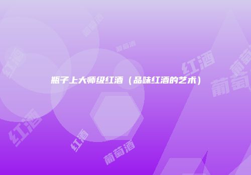 瓶子上大师级红酒（品味红酒的艺术）