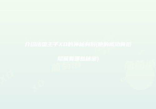 介绍法国王子XO的神秘身份(他的成功背后隐藏着哪些秘密)