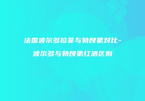 法国波尔多拉菲与勃艮第对比-波尔多与勃艮第红酒区别