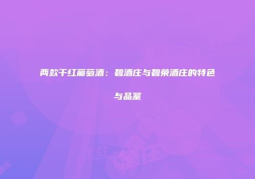 两款干红葡萄酒：碧酒庄与碧荣酒庄的特色与品鉴