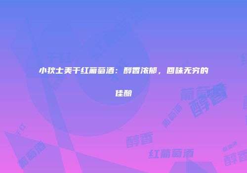 小狄士美干红葡萄酒：醇香浓郁，回味无穷的佳酿
