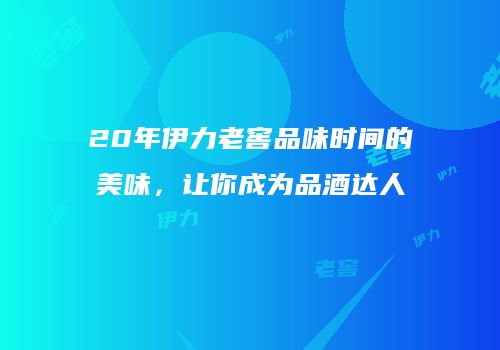20年伊力老窖品味时间的美味，让你成为品酒达人