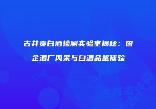 古井贡白酒检测实验室揭秘：国企酒厂风采与白酒品鉴体验