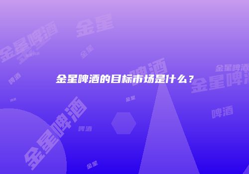 金星啤酒的目标市场是什么？