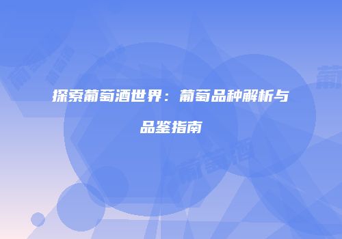 探索葡萄酒世界：葡萄品种解析与品鉴指南