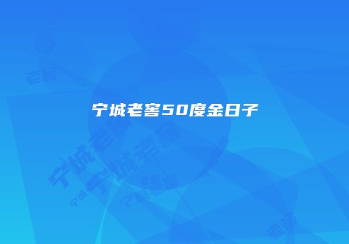 宁城老窖50度金日子