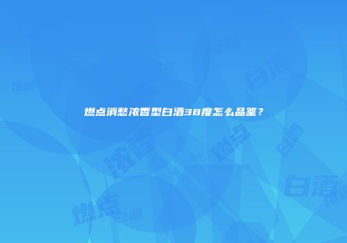 燃点消愁浓香型白酒38度怎么品鉴？
