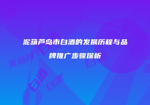 泥葫芦岛市白酒的发展历程与品牌推广步骤探析