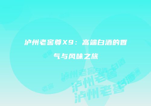 泸州老窖尊X9：高端白酒的香气与风味之旅
