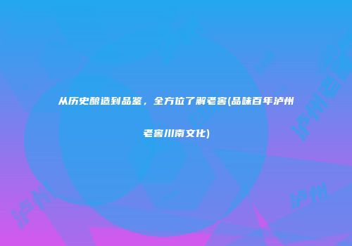 从历史酿造到品鉴，全方位了解老窖(品味百年泸州老窖川南文化)