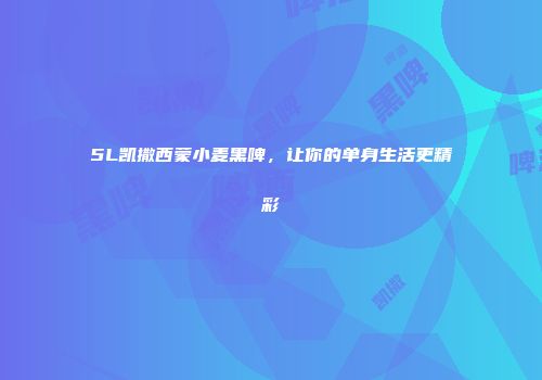 5L凯撒西蒙小麦黑啤，让你的单身生活更精彩