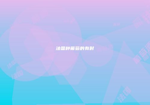 法国种葡萄的有时