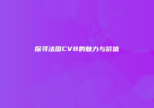 探寻法国CVB的魅力与价值
