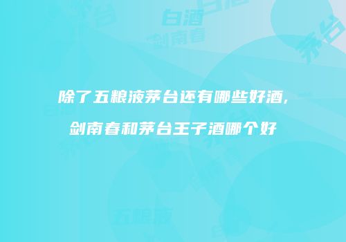 除了五粮液茅台还有哪些好酒,剑南春和茅台王子酒哪个好