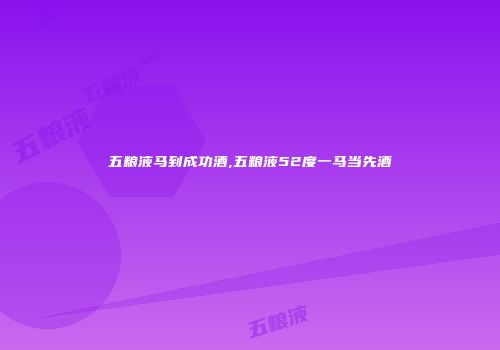 五粮液马到成功酒,五粮液52度一马当先酒