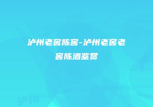 泸州老窖陈窖-泸州老窖老窖陈酒鉴赏