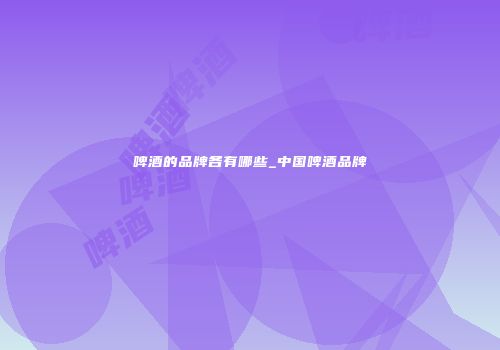 啤酒的品牌各有哪些_中国啤酒品牌