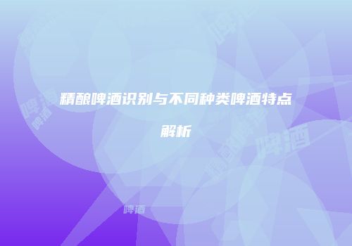 精酿啤酒识别与不同种类啤酒特点解析
