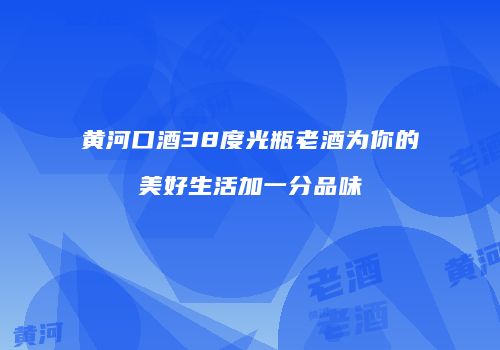 黄河口酒38度光瓶老酒为你的美好生活加一分品味