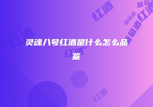 灵魂八号红酒是什么怎么品鉴