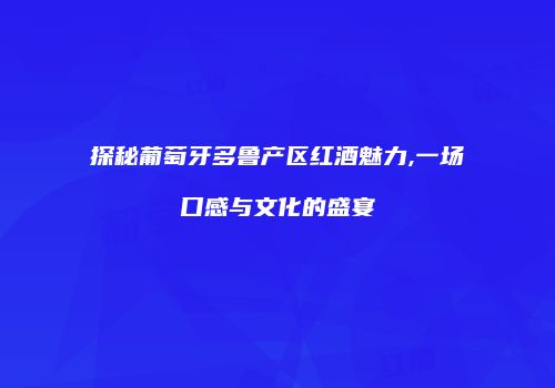探秘葡萄牙多鲁产区红酒魅力,一场口感与文化的盛宴