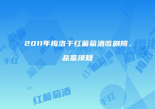 2011年梅洛干红葡萄酒歌剧院，品鉴须知
