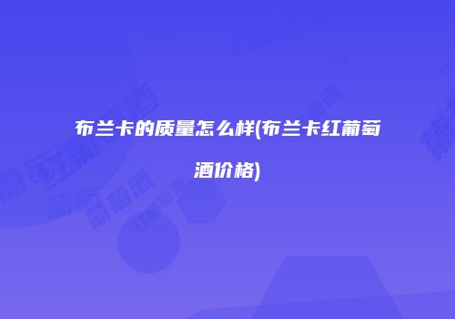 布兰卡的质量怎么样(布兰卡红葡萄酒价格)