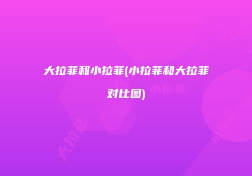 大拉菲和小拉菲(小拉菲和大拉菲对比图)