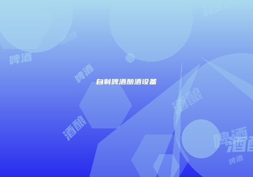 自制啤酒酿酒设备
