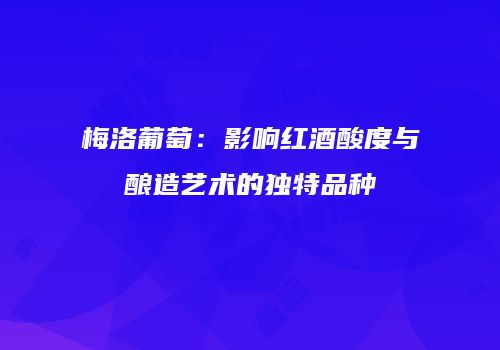 梅洛葡萄：影响红酒酸度与酿造艺术的独特品种
