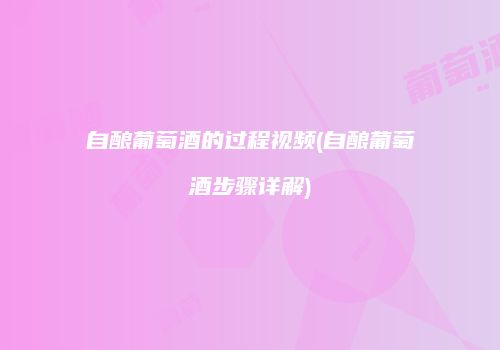 自酿葡萄酒的过程视频(自酿葡萄酒步骤详解)
