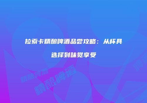 拉索卡精酿啤酒品尝攻略：从杯具选择到味觉享受
