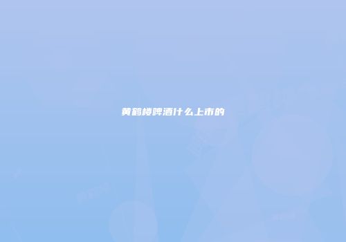 黄鹤楼啤酒什么上市的